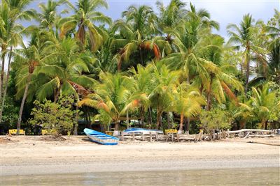 Boote am Strand
